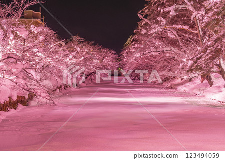 Hirosaki Castle in winter, illuminated moat. Aomori, Japan Hirosaki Castle in winter, illuminated moat. Aomori, Japan 123494059