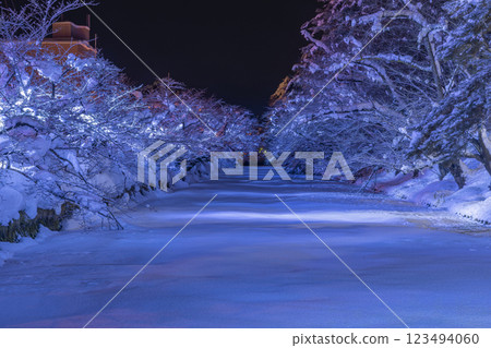 Hirosaki Castle in winter, illuminated moat. Aomori, Japan 123494060