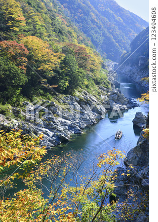 乘坐遊船在紅葉中駛向大步危峽 123494608