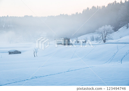 Ojiya City, Niigata Prefecture, Iiyama Line: A single-car train running through the snowy fields of fog and morning glow Ojiya City, Niigata Prefecture, Iiyama Line: A single-car train running through the snowy fields of fog and morning glow 123494746