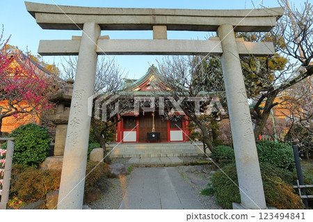 龜戶天神梅祭 123494841