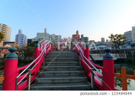 龜戶天神梅祭 龜戶天神梅祭 123494844