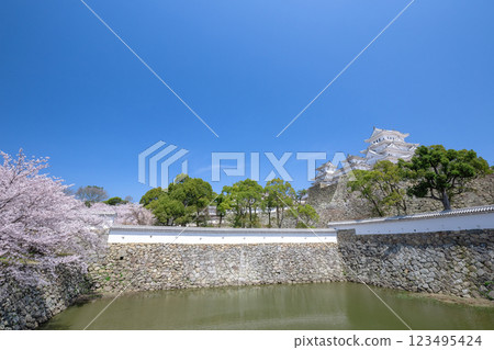 春天的姬路城 123495424