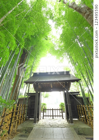 府中市妙高院 123495590