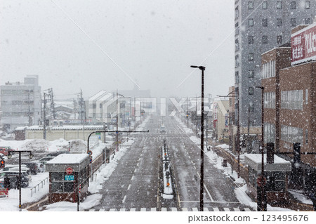 雪天的道路 [富山縣高岡站前] 123495676
