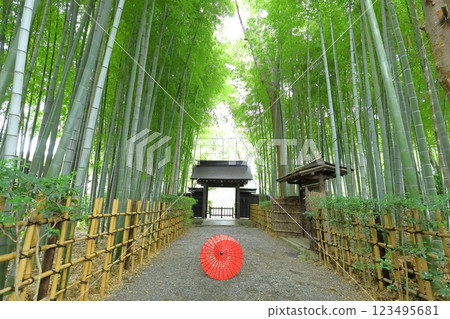 府中市妙光院 123495681