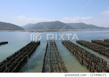 瀨戶內海和牡蠣捕撈 123496271