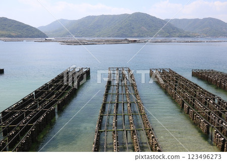 瀨戶內海和牡蠣捕撈 瀨戶內海和牡蠣捕撈 123496273