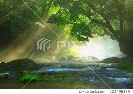 Kikuchi Valley with beautiful rays of light (Kikuchi City) Kikuchi Valley with beautiful rays of light (Kikuchi City) 123496329