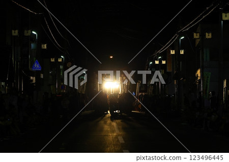 民族表演藝術表演百花群舞 123496445