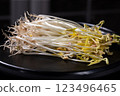 Light mung bean sprouts on a black plate 123496465