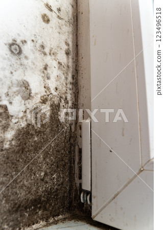 Mould and fungus are visibly spreading along the wall next to a window, indicating potential moisture issues and neglect in indoor maintenance Mould and fungus are visibly spreading along the wall next to a window, indicating potential moisture issues and neglect in indoor maintenance 123496518