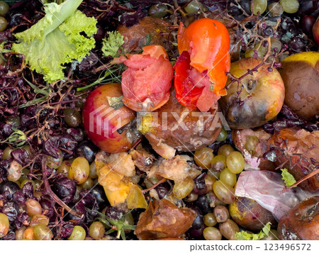 A rich array of decayed fruits and vegetables displays vibrant colors faded by the passage of time, highlighting nature's cycle of decay and renewal in a tranquil environment A rich array of decayed fruits and vegetables displays vibrant colors faded by the passage of time, highlighting nature's cycle of decay and renewal in a tranquil environment 123496572
