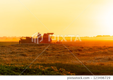 An agricultural harvester operates in a field, efficiently gathering crops as the sun sets, casting a warm glow over the landscape, highlighting the day's labor 123496729