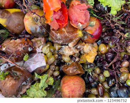 A rich assortment of decaying fruits and vegetables lays scattered, showcasing a variety of colors and textures as nature reclaims its bounty. The scene reflects a cycle of decay and renewal A rich assortment of decaying fruits and vegetables lays scattered, showcasing a variety of colors and textures as nature reclaims its bounty. The scene reflects a cycle of decay and renewal 123496732