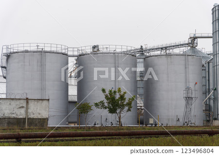 The towering silo tanks stand prominently at a grain elevator site, ready to support the harvest of crops. They are essential for storing grain after harvest operations 123496804