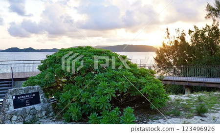從沖繩縣慶良間諸島的海上俯瞰傍晚的阿卡島 123496926