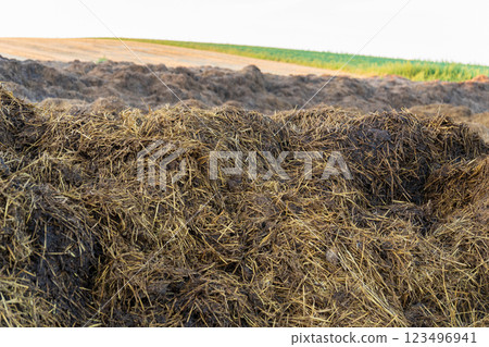 A bountiful compost pile rests in the field, where farmers enrich the soil using natural methods. The sun shines on the essential nutrients awaiting their transformative journey A bountiful compost pile rests in the field, where farmers enrich the soil using natural methods. The sun shines on the essential nutrients awaiting their transformative journey 123496941