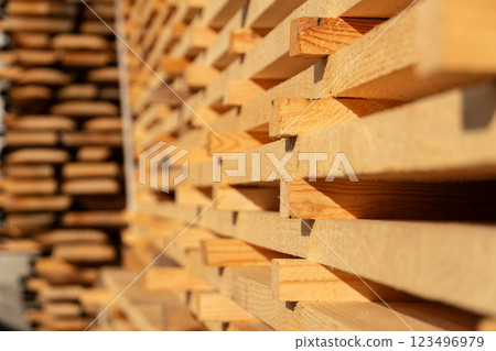 Sunlight filters through countless wooden planks, showcasing the texture and grain of freshly cut timber stacked at a bustling sawmill in the early morning 123496979