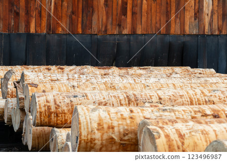 Sturdy, freshly cut logs lie stacked in an outdoor lumberyard, surrounded by a beautifully weathered wooden wall, illuminated by sunlight Sturdy, freshly cut logs lie stacked in an outdoor lumberyard, surrounded by a beautifully weathered wooden wall, illuminated by sunlight 123496987