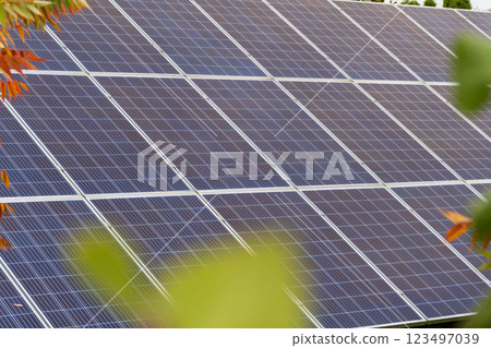 Solar panels are positioned at an angle to capture sunlight effectively, contributing to sustainable energy generation amidst vibrant foliage in a sunny environment Solar panels are positioned at an angle to capture sunlight effectively, contributing to sustainable energy generation amidst vibrant foliage in a sunny environment 123497039