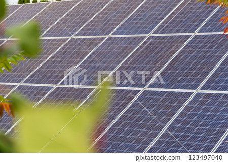 Rows of solar panels efficiently capturing sunlight to generate renewable energy, showcasing a commitment to sustainability during bright daylight hours 123497040