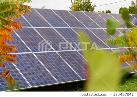 Solar panels are arranged efficiently in a green environment, harnessing sunlight for energy while surrounded by colorful trees under clear skies Solar panels are arranged efficiently in a green environment, harnessing sunlight for energy while surrounded by colorful trees under clear skies 123497041
