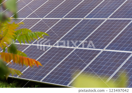 Solar panels are installed in a lush outdoor area, effectively harnessing sunlight to generate clean energy. The setup highlights the importance of sustainable power sources 123497042