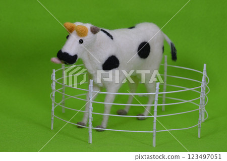 Cows in a fence Cows in a fence 123497051