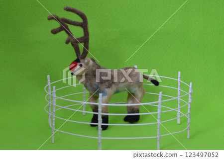 Reindeer in a fence 123497052
