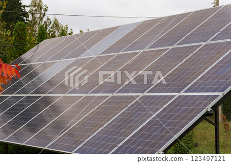 Rows of solar panels gleam under the bright sun, showcasing a commitment to renewable energy in a lush, green environment. Nature and technology merge beautifully 123497121