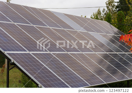 Bathed in early sunlight, a row of solar panels stands tall, capturing energy while nestled among lush trees and plants, creating a vivid contrast Bathed in early sunlight, a row of solar panels stands tall, capturing energy while nestled among lush trees and plants, creating a vivid contrast 123497122
