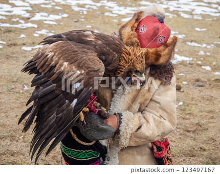 Portrait of a hunting golden eagle. Portrait of a hunting golden eagle. 123497167
