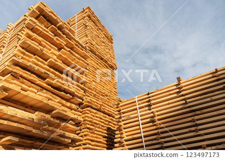 Rough spruce and pine lumber pile at a sawmill. Pile of wooden boards at lumber production factory 123497173