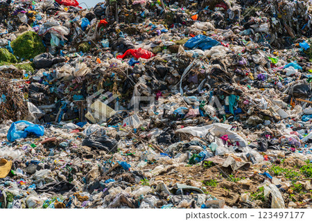 Pile of domestic garbage in landfill dump site. Global environmental issue of waste disposal 123497177