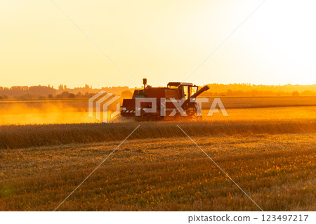 Combine harvester harvests ripe wheat. Combine harvester working in field. Concept of a rich harvest. Rural field at sunset Combine harvester harvests ripe wheat. Combine harvester working in field. Concept of a rich harvest. Rural field at sunset 123497217