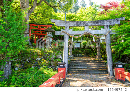 [Important Preservation District for Groups of Traditional Buildings] Izushi: Fresh greenery and the approach to Arikoyama Inari Shrine 8, Toyooka City, Hyogo Prefecture 123497242