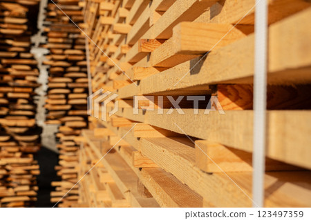 Close up of pine boards. Production of wood material on a sawmill 123497359