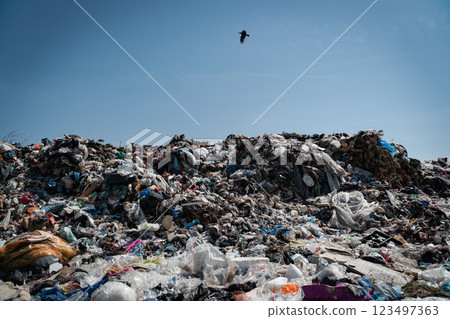 Pile of garbage. City landfill. Household waste garbage 123497363