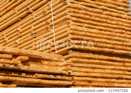 Stacked boards on a sawmill. Production of lumber for construction 123497380