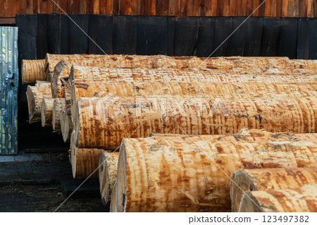 Sawing wooden logs on a sawmill. Production of wooden materials. Wood processing Sawing wooden logs on a sawmill. Production of wooden materials. Wood processing 123497382