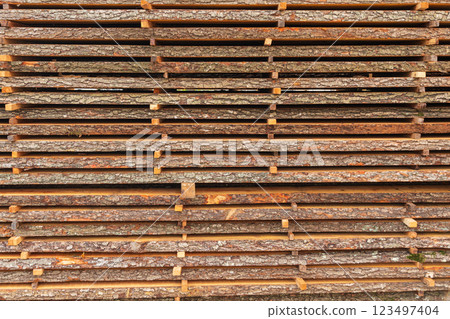 Pine wood timber stack of natural rough wooden boards. Sawn boards with bark Pine wood timber stack of natural rough wooden boards. Sawn boards with bark 123497404