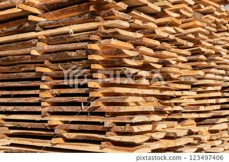 Timber processing at the sawmill. Woodworking industry Timber processing at the sawmill. Woodworking industry 123497406