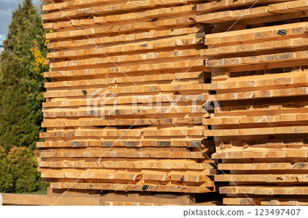 Stack of wooden planks in sawmill lumber yard. 123497407