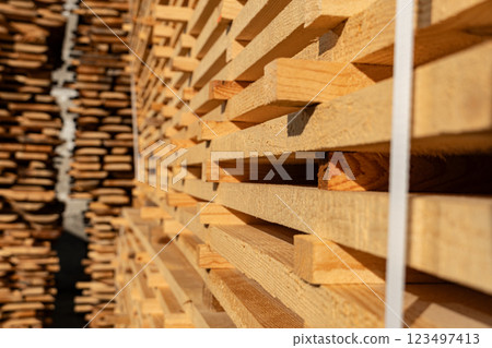 Piles of wooden boards in the sawmill. Air drying of wood 123497413
