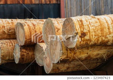 Raw tree trunks on a sawmill. Modern sawmill. Lumber Industry 123497423