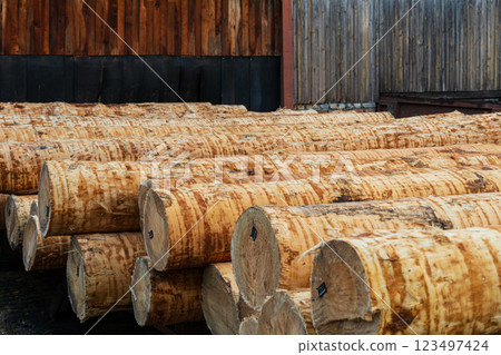 Sawmill. Log trunks pile. Industry sawing boards from logs Sawmill. Log trunks pile. Industry sawing boards from logs 123497424
