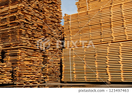 A stack of boards on a sawmill. Drying wood on a sawmill. Production of boards. Wood industry 123497463