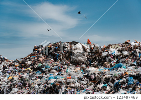 Garbage landfill. A large pile of garbage at the landfill. Seagulls fly over the garbage Garbage landfill. A large pile of garbage at the landfill. Seagulls fly over the garbage 123497469