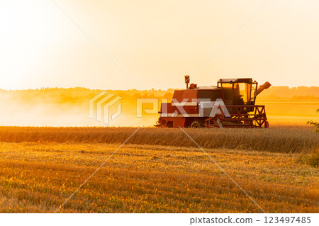 The sun sets over a golden wheat field as a combine harvester works diligently, capturing the essence of a bountiful harvest season in the countryside The sun sets over a golden wheat field as a combine harvester works diligently, capturing the essence of a bountiful harvest season in the countryside 123497485
